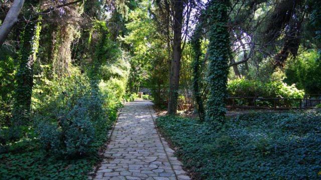 Ferienwohnung Greek Hospitality 2 Athen Exterior foto